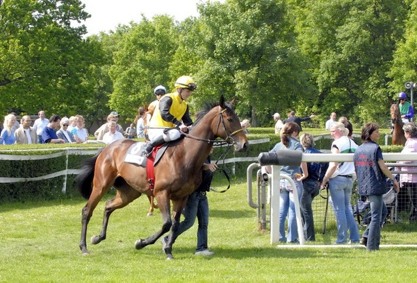 Neue Bult Mai09   092.jpg